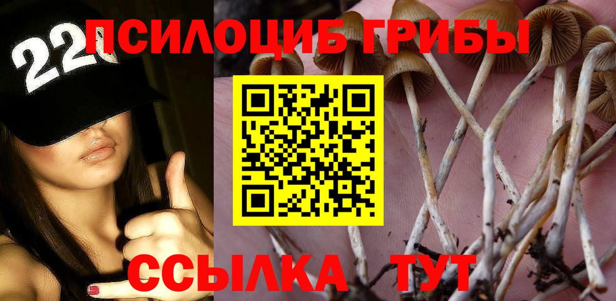 Галлюциногенные грибы мицелий Барнаул