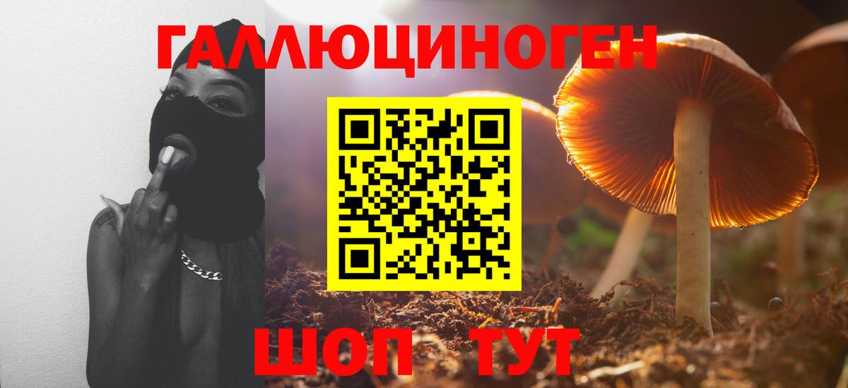 Барнаул  Галлюциногенные грибы прущие грибы  Вход с VPN 